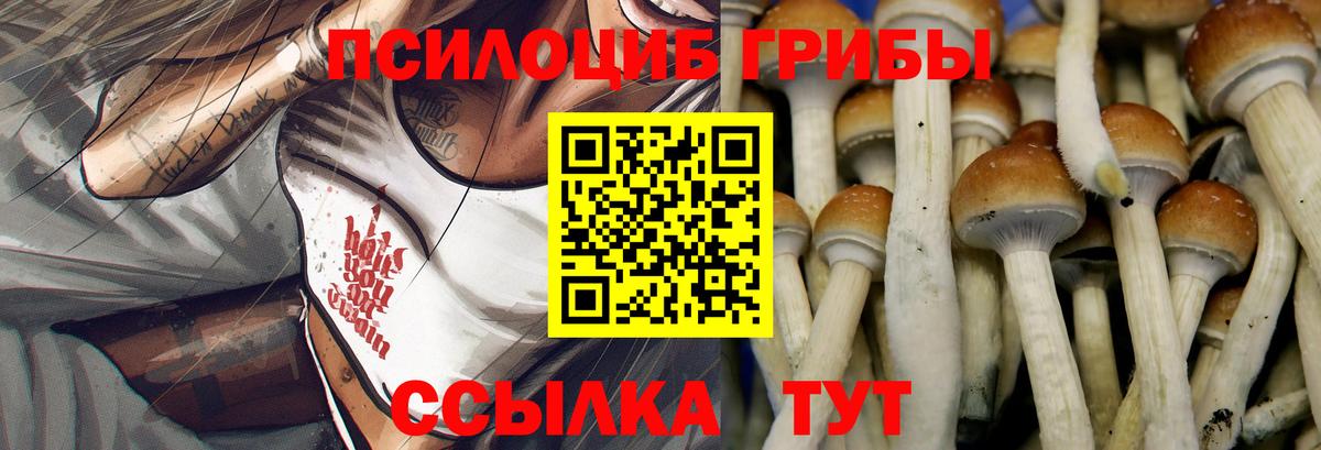 Галлюциногенные грибы ЛСД Рассказово